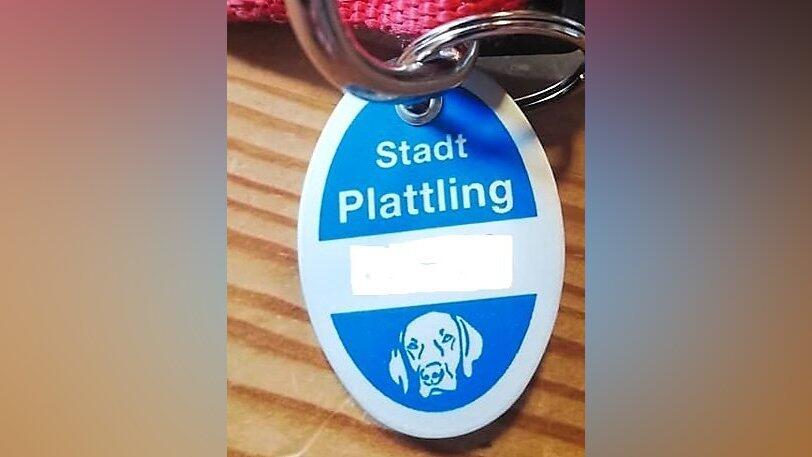 Eine Hundesteuermarke der Stadt Plattling.