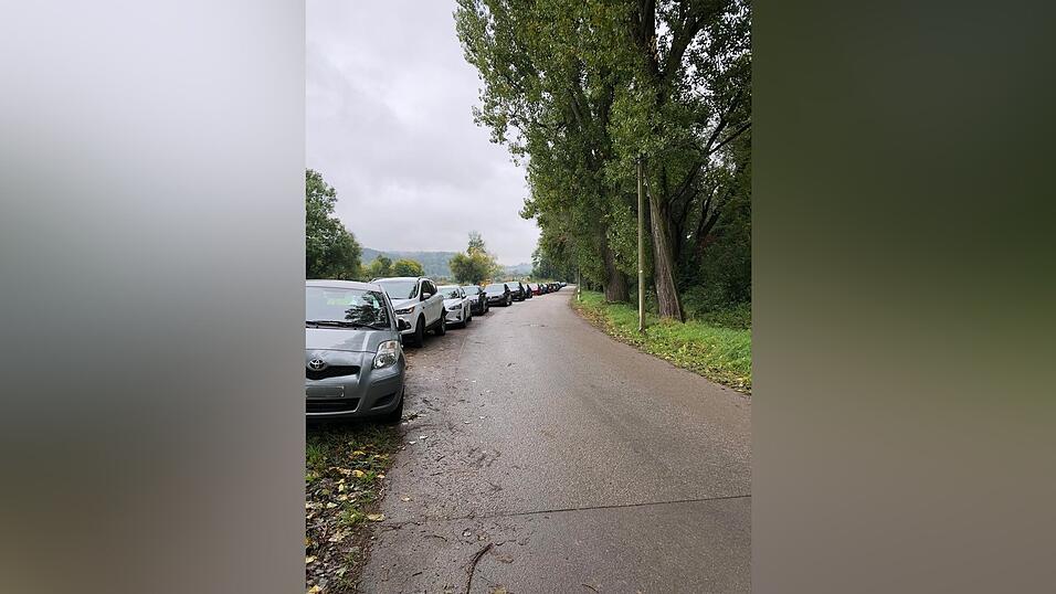 Bis zur Einfahrt der Bauschuttsortieranlage reichte die Schlange an Autos.