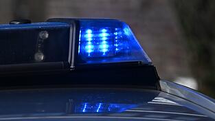Der Hund wurde von einem 22-Jährigen aus München in dem aufgeheizten Fahrzeug entdeckt. (Symbolbild)
