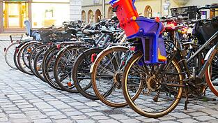 In Landshut, Altdorf und Ergolding liegen die Diebstahl-Schwerpunkte. In Landshut, Altdorf und Ergolding liegen die Diebstahl-Schwerpunkte.