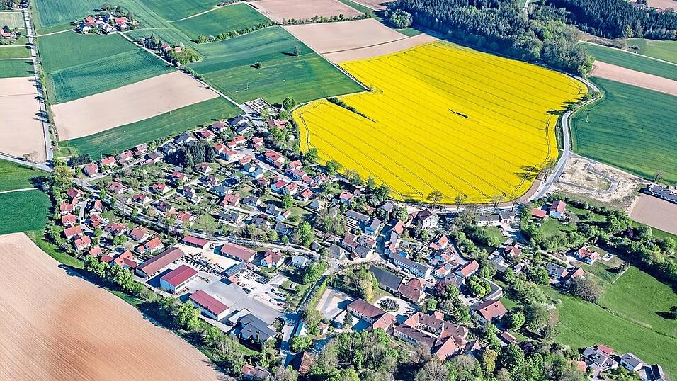 Neufraunhofen hatte im Jahr 2020 eine hohe Wahlbeteiligung von 74,4 Prozent und hob sich damit im Vergleich zum Durchschnitt hervor.