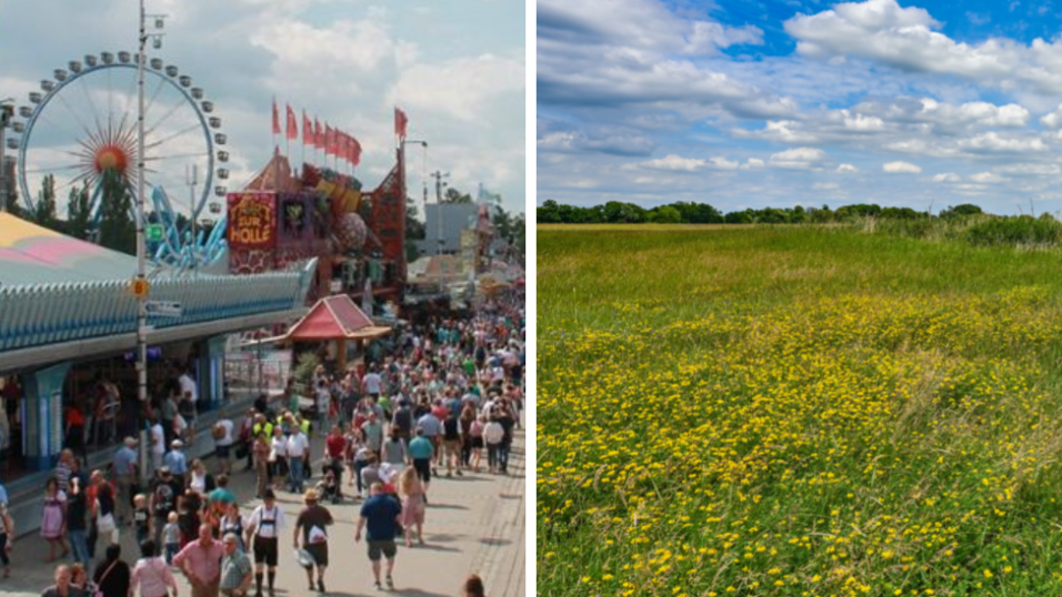Obacht! Nur eines dieser zwei Bilder zeigt eine Wies'n.