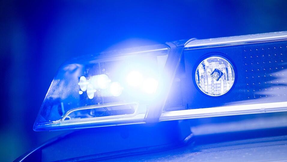 Laut Polizei hatte ein Verkehrsteilnehmer die entlaufenen Kühe bei der Polizei gemeldet. (Symbolbild) Laut Polizei hatte ein Verkehrsteilnehmer die entlaufenen Kühe bei der Polizei gemeldet. (Symbolbild)