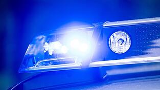 Laut Polizei hatte ein Verkehrsteilnehmer die entlaufenen Kühe bei der Polizei gemeldet. (Symbolbild)