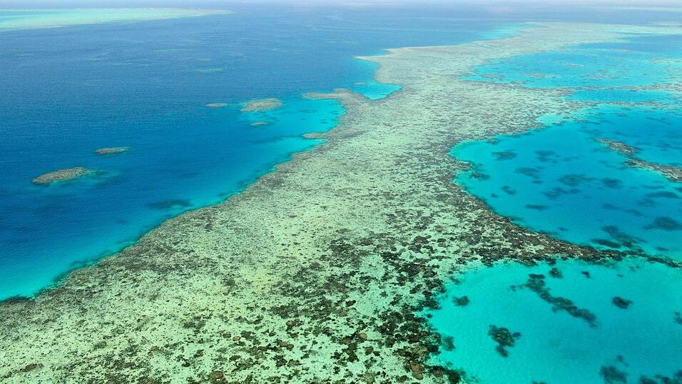 Das Great Barrier Reef in Australien. (Archivbild) Das Great Barrier Reef in Australien. (Archivbild)