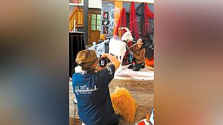 Ziegenbock Gustl vom Groitlhof stand Modell für die Fotografin. Ziegenbock Gustl vom Groitlhof stand Modell für die Fotografin.