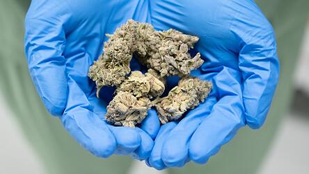 Cannabis wird auch f&uuml;r f&uuml;r medizinische Zwecke verwendet.