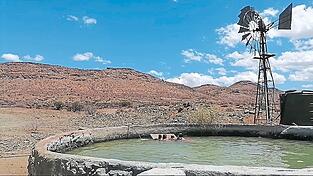 Aus diesem Grundwasserbecken rettete Tristan ein Reh. Aus diesem Grundwasserbecken rettete Tristan ein Reh.