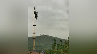 Eine starke Windb&ouml;e hatten den Rimbacher Maibaum umgeknickt.