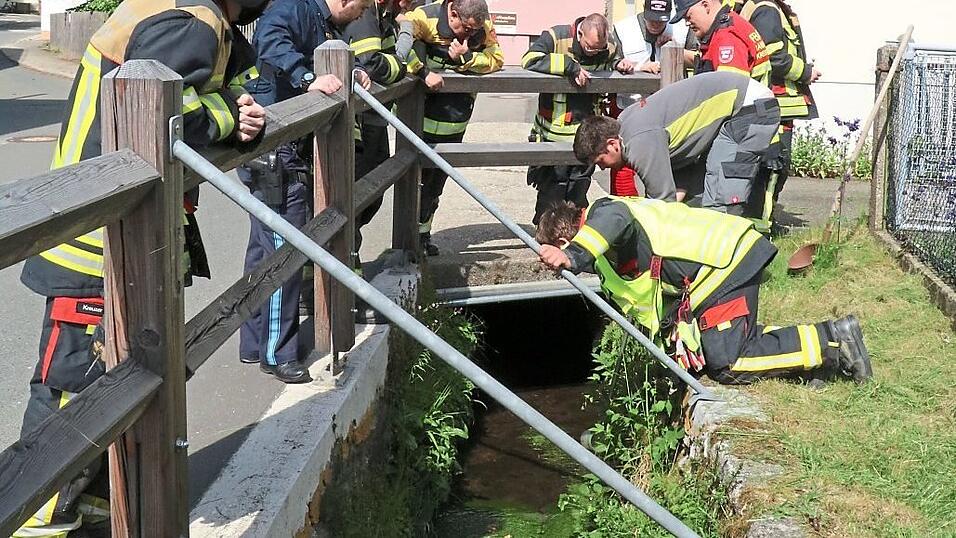 Der Ölfilm auf dem Stadtbach in der Pechhansenstraße breitete sich schnell aus.