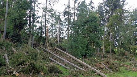 Ein chaotisches Bild bot sich im Juli 2024 nach einem nächtlichen Sturm zwischen Birnbrunn und Kothrettenbach.