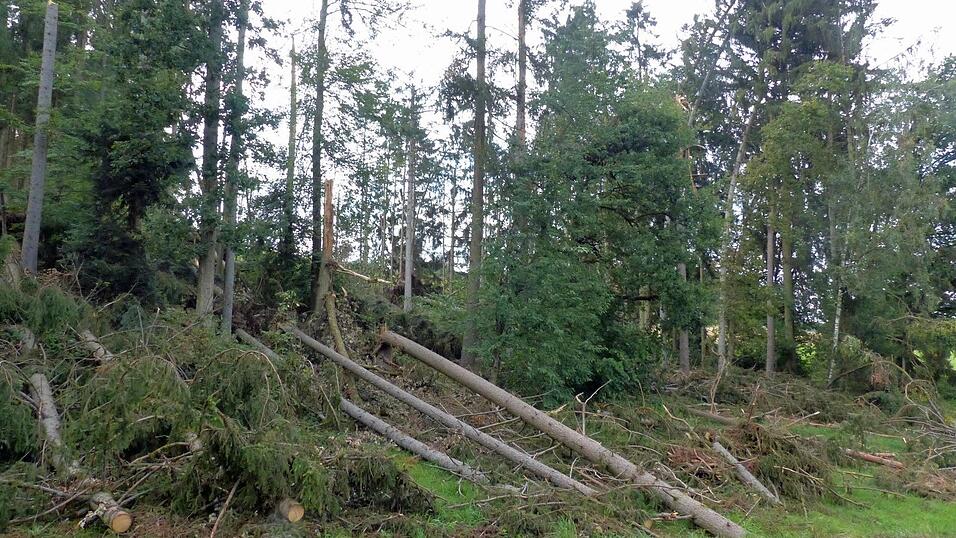 Ein chaotisches Bild bot sich im Juli 2024 nach einem n&auml;chtlichen Sturm zwischen Birnbrunn und Kothrettenbach.