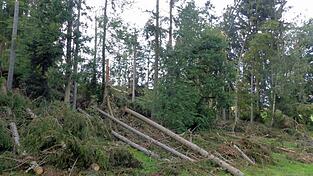 Ein chaotisches Bild bot sich im Juli 2024 nach einem nächtlichen Sturm zwischen Birnbrunn und Kothrettenbach.
