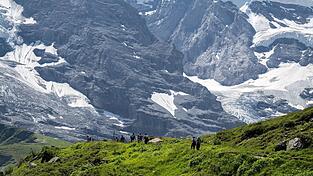 Die vermisste Wanderin wurde in den Schweizer Alpen tot gefunden. (Symbolbild)