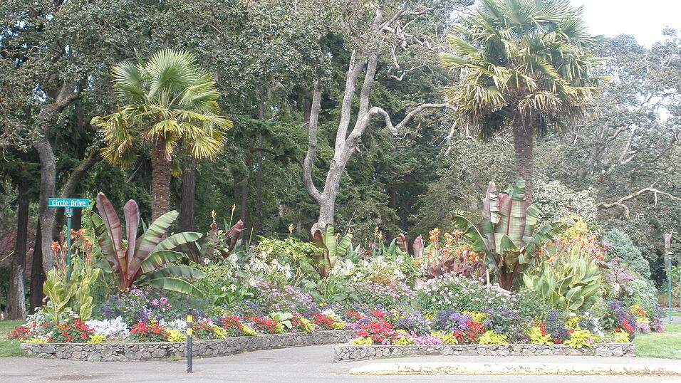 Der Beacon Hill Park, der schönste Park Victorias, findet Jessica.