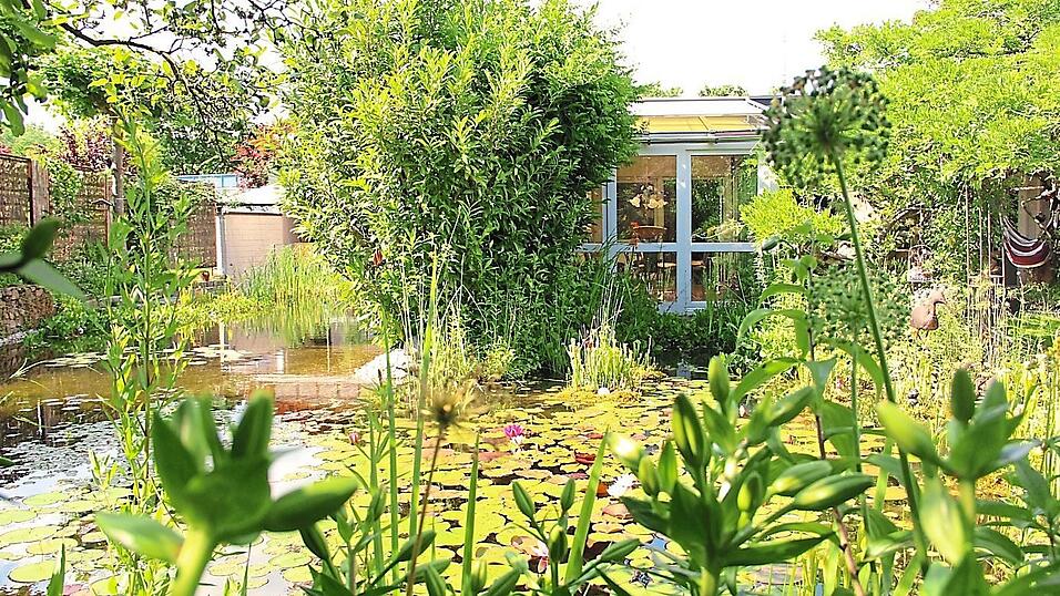 Der Naturteich ist nicht nur eine Augenweide, sondern auch Refugium f&uuml;r viele Pflanzen, V&ouml;gel und Insekten.