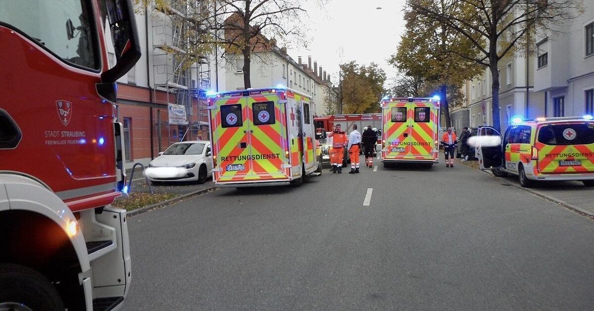 Pfautaube verursacht Unfall: Großer Einsatz in Straubing