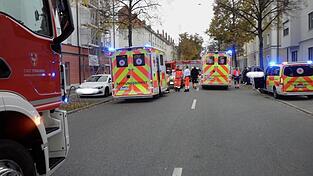 In Straubing hat ein Autofahrer angehalten, weil ihm eine Pfautaube den Weg kreuzte. Kurz darauf krachte ihm eine junge Frau mit ihrem Wagen ins Heck.&nbsp;
