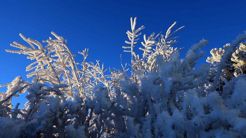 Der Junge hatte sich aus Angst vor Monstern in seinem Zimmer unter einer Hecke im Schnee versteckt. (Symbolbild)