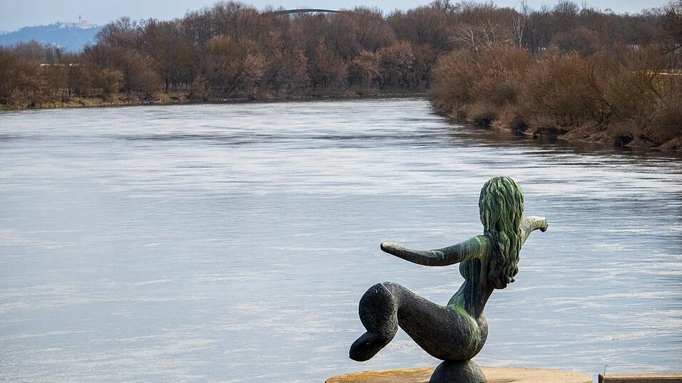 Die Natur zum Frühlingsanfang in Straubing - eine Fototour.