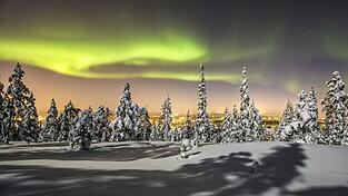 Ein spektakuläres Phänomen: Nordlichter im finnischen Rovaniemi Ein spektakuläres Phänomen: Nordlichter im finnischen Rovaniemi