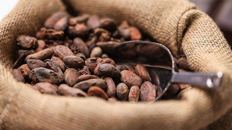 Die Kakaopreise sind zuletzt wieder gesunken. (Symbolbild)