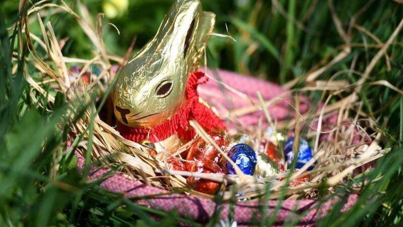 Ein Osternest mit Schokohase und Schokoladeneiern.