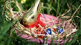 Ein Osternest mit Schokohase und Schokoladeneiern.