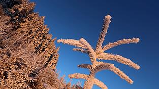 Frost und gebietsweise Neuschnee erwartet der DWD auch in der Nacht auf Sonntag. (Archivbild)