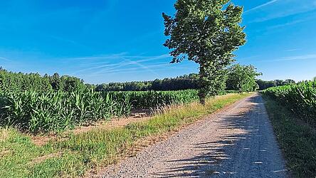 Am Ende dieses Feldweges beginnt der Radweg zwischen Lehenfelden und Frauenberg. Dort könnte der Digitalfunkmast künftig stehen. Am Ende dieses Feldweges beginnt der Radweg zwischen Lehenfelden und Frauenberg. Dort könnte der Digitalfunkmast künftig stehen.