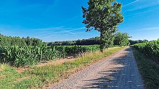 Am Ende dieses Feldweges beginnt der Radweg zwischen Lehenfelden und Frauenberg. Dort könnte der Digitalfunkmast künftig stehen. Am Ende dieses Feldweges beginnt der Radweg zwischen Lehenfelden und Frauenberg. Dort könnte der Digitalfunkmast künftig stehen.