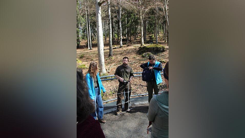 Mit einer Antenne und einem Halsband können die Forscher Marc Velling (M.), Hannah Pepe (l.) und Maik Henrich die Bewegungen der Wölfe nachverfolgen.