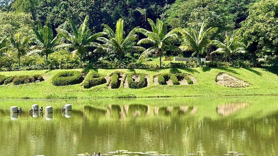 Einst war der Name Goldenes Dreieck ein Synonym für Opiumhandel. Einst war der Name Goldenes Dreieck ein Synonym für Opiumhandel.