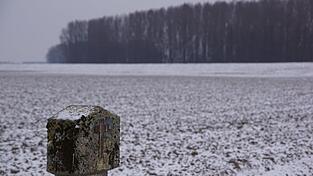 Ein steinernes Gedenkmarterl in der W&ouml;rther Au.