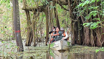 Bei einem Bootsausflug auf den Nebenarmen des Amazonas tauchen Besucher so richtig in das Leben im Regenwald ein.