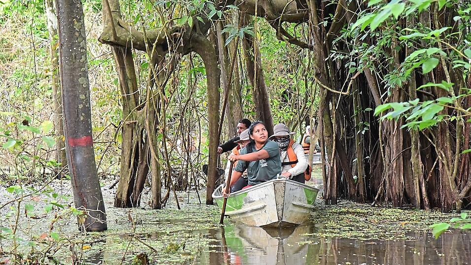 Bei einem Bootsausflug auf den Nebenarmen des Amazonas tauchen Besucher so richtig in das Leben im Regenwald ein.