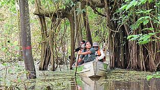 Bei einem Bootsausflug auf den Nebenarmen des Amazonas tauchen Besucher so richtig in das Leben im Regenwald ein. Bei einem Bootsausflug auf den Nebenarmen des Amazonas tauchen Besucher so richtig in das Leben im Regenwald ein.