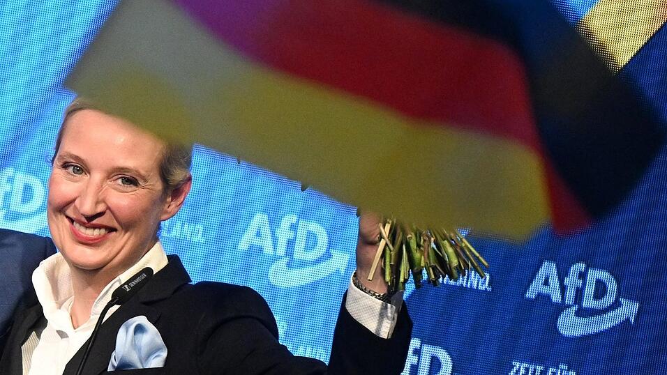 Starker Zuwachs: Die AfD wurde zweitstärkste Kraft. Starker Zuwachs: Die AfD wurde zweitstärkste Kraft.