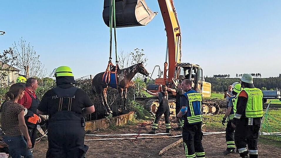 Ein Pferd musste mit dem Bagger aus einer Güllegrube befreit werden. Ein Pferd musste mit dem Bagger aus einer Güllegrube befreit werden.