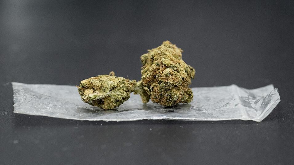 Cannabisblüte liegt auf einem Plastikbeutel. Ein Freisinger Gärtner wollte seinen Stoff verkaufen. Jetzt war er vor Gericht. Cannabisblüte liegt auf einem Plastikbeutel. Ein Freisinger Gärtner wollte seinen Stoff verkaufen. Jetzt war er vor Gericht.