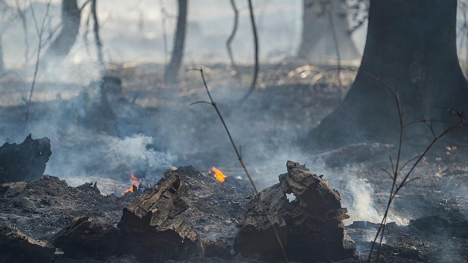 Während die Flammen auf bayerischer Seite gelöscht sind, laufen in Hessen noch die Nachlöscharbeiten. (Archivbild) Während die Flammen auf bayerischer Seite gelöscht sind, laufen in Hessen noch die Nachlöscharbeiten. (Archivbild)