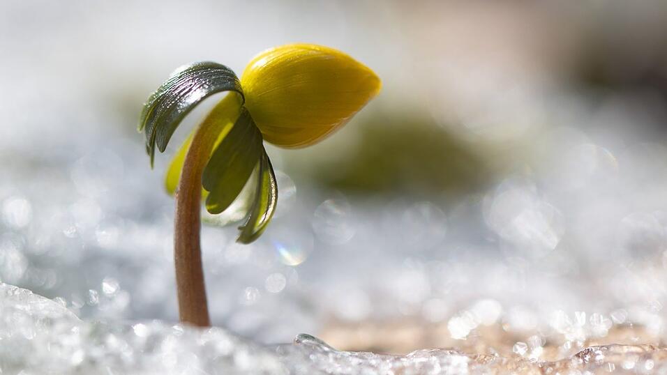Bis 20 Grad und sogar noch wärmer kann es stellenweise werden. (Archivbild) Bis 20 Grad und sogar noch wärmer kann es stellenweise werden. (Archivbild)