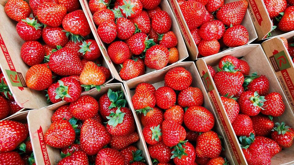 Beliebt, aber teuer: Einheimische Erdbeeren.