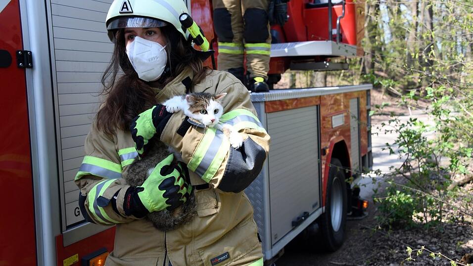 Um die Katze aus ihrer schwierigen Lage zu befreien, begaben sich zwei Feuerwehrleute im Korb an der Drehleiter in luftige Höhen. Um die Katze aus ihrer schwierigen Lage zu befreien, begaben sich zwei Feuerwehrleute im Korb an der Drehleiter in luftige Höhen.