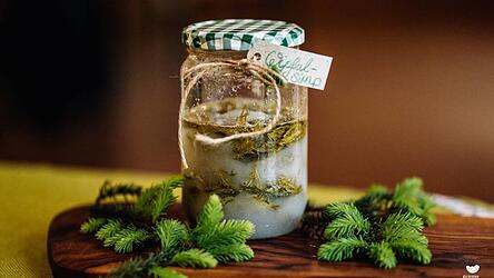 Ein Rezept für den Wonnemat Mai: Maiwipfal Sirup.