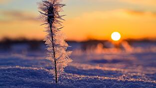 Die Sonne hat deutlich mehr Stunden eingesammelt als im Vergleichszeitraum. (Archivbild)