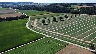 Die Straße zwischen Mettenhausen und Reichersdorf schlängelt sich - etwas zu sehr.