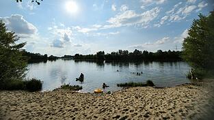 Im 'Scheißhaislweiher', dem Wolf-Weiher Nummer 14, lebt ein ganz besonderes Tier: die einzige Süßwasserqualle Europas