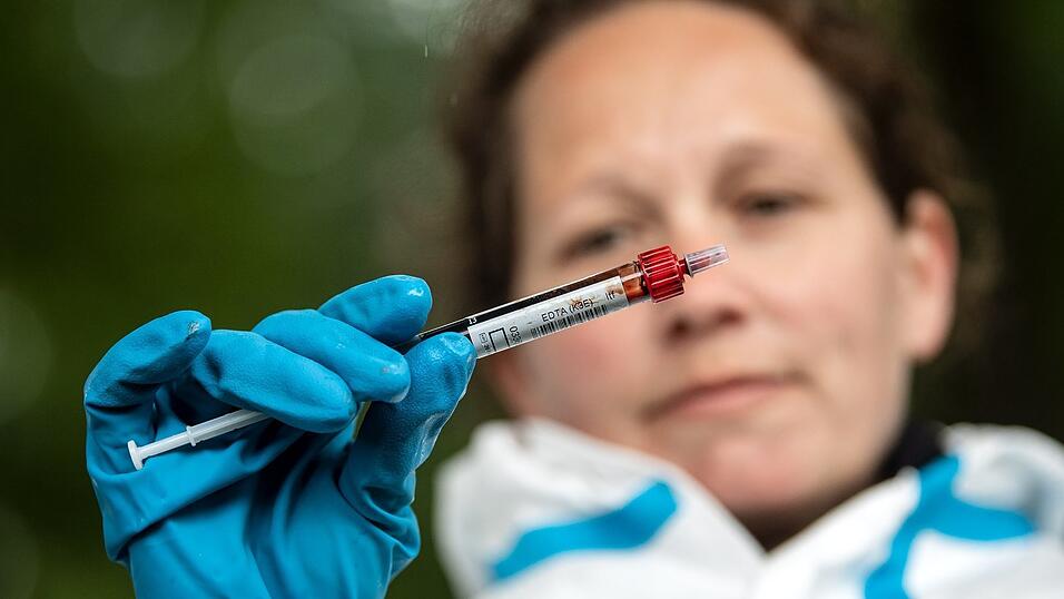 Was Mitarbeiter von Veterinäramtern bei ihren Kontrollen in Betrieben vorfinden, bleibt für die Öffentlichkeit in der Regel geheim. Eine Ausnahme machte da ein Fall vor dem Landauer Amtsgericht. (Symbolbild) Was Mitarbeiter von Veterinäramtern bei ihren Kontrollen in Betrieben vorfinden, bleibt für die Öffentlichkeit in der Regel geheim. Eine Ausnahme machte da ein Fall vor dem Landauer Amtsgericht. (Symbolbild)