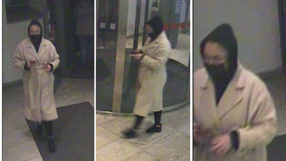 Die Polizei bittet um Hinweise zu der mutmaßlichen Trickbetrügerin aus dem Raum Passau. Die Polizei bittet um Hinweise zu der mutmaßlichen Trickbetrügerin aus dem Raum Passau.
